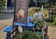 Szó Ami Szó Balatonkenese