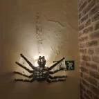 Szóda Bár Debrecen - Egyéb