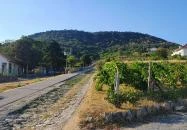 Szőlőhegy Bisztró Badacsonytomaj