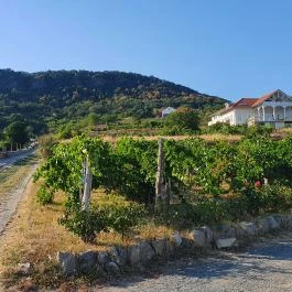 Szőlőhegy Bisztró Badacsonytomaj - Egyéb