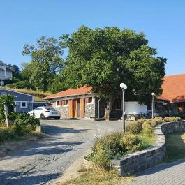 Szőlőhegy Bisztró Badacsonytomaj - Egyéb