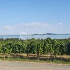 Szőlőhegy Bisztró Badacsonytomaj - Egyéb