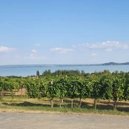 Szőlőhegy Bisztró Badacsonytomaj - Egyéb