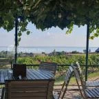 Szőlőhegy Bisztró Badacsonytomaj - Egyéb