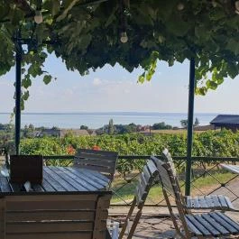 Szőlőhegy Bisztró Badacsonytomaj - Egyéb