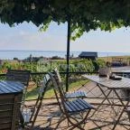 Szőlőhegy Bisztró Badacsonytomaj - Egyéb