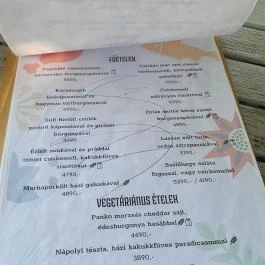 Szőlőhegy Bisztró Badacsonytomaj - Egyéb