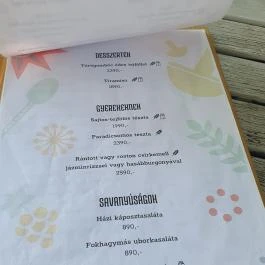 Szőlőhegy Bisztró Badacsonytomaj - Egyéb