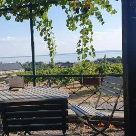 Szőlőhegy Bisztró Badacsonytomaj - Egyéb