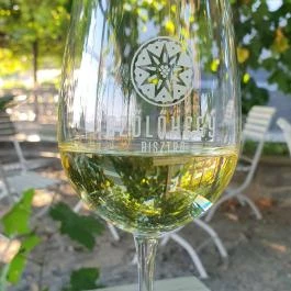 Szőlőhegy Bisztró Badacsonytomaj - Egyéb