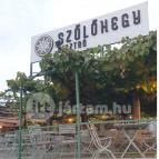 Szőlőhegy Bisztró Badacsonytomaj - Egyéb