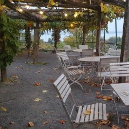 Szőlőhegy Bisztró Badacsonytomaj - Egyéb