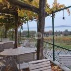 Szőlőhegy Bisztró Badacsonytomaj - Egyéb