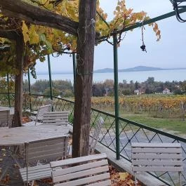 Szőlőhegy Bisztró Badacsonytomaj - Egyéb