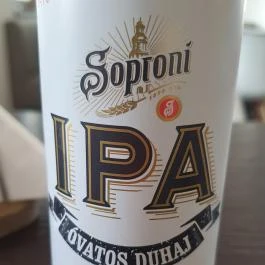 Szőlőskert Íz-Lelő Pákozd - Egyéb