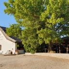 Szúnyogszigeti Halászcsárda Pákozd - Egyéb