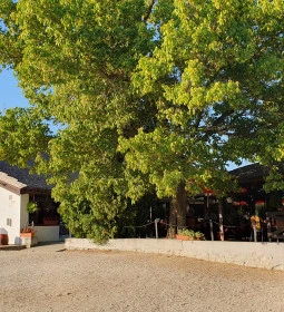 Szúnyogszigeti Halászcsárda