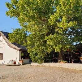 Szúnyogszigeti Halászcsárda, Pákozd - Egyéb