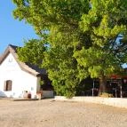 Szúnyogszigeti Halászcsárda Pákozd - Egyéb