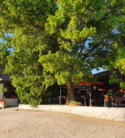 Szúnyogszigeti Halászcsárda