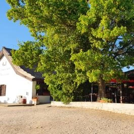 Szúnyogszigeti Halászcsárda, Pákozd - Egyéb