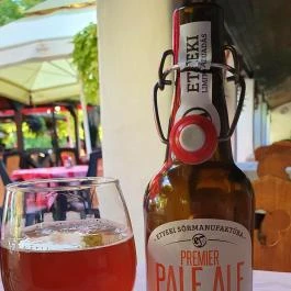 Szúnyogszigeti Halászcsárda, Pákozd - Egyéb