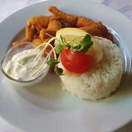 Szúnyogszigeti Halászcsárda, Pákozd - Egyéb