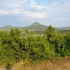 Taberna Infinito - Tapas&Grill Bàr Kisapáti - Egyéb