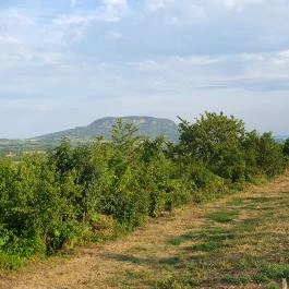 Taberna Infinito - Tapas&Grill Bàr Kisapáti - Egyéb