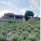 Taberna Infinito - Tapas&Grill Bàr Kisapáti - Egyéb