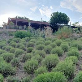 Taberna Infinito - Tapas&Grill Bàr Kisapáti - Egyéb