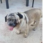 Taberna Infinito - Tapas&Grill Bàr Kisapáti - Egyéb