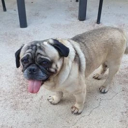 Taberna Infinito - Tapas&Grill Bàr Kisapáti - Egyéb