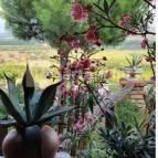 Taberna Infinito - Tapas&Grill Bàr Kisapáti - Egyéb