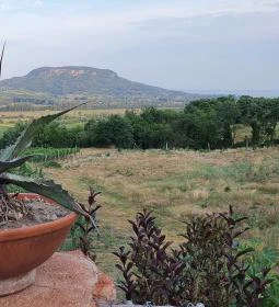 Taberna Infinito - Tapas&Grill Bàr