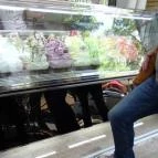 Taffo Cukrászda Orosháza - Étel/ital