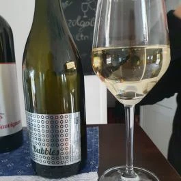 Takács pince, Hajós - Egyéb