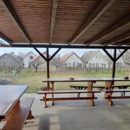 Takács pince, Hajós - Egyéb