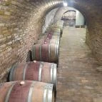 Takács pince Hajós - Egyéb