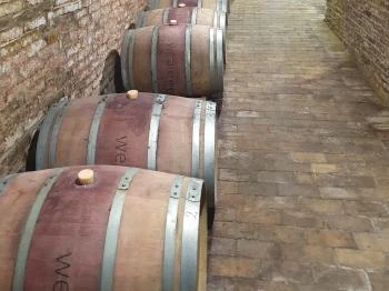 Takács pince Hajós