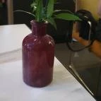 Tapas Fino Budapest - Egyéb