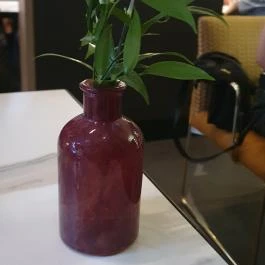 Tapas Fino, Budapest - Egyéb