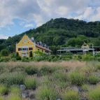 Tarányi présház Hegymagas - Egyéb