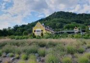 Tarányi présház Hegymagas