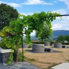 Tarányi présház Hegymagas - Egyéb