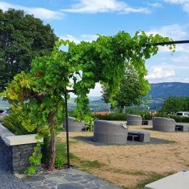 Tarányi présház Hegymagas - Egyéb