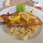 Tárlat Étterem Mór - Étel/ital