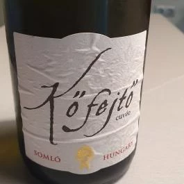 TasteVino, Sopron - Étel/ital