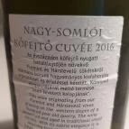 TasteVino Sopron - Étel/ital