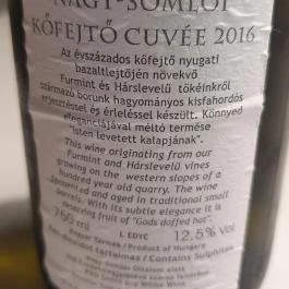 TasteVino, Sopron - Étel/ital